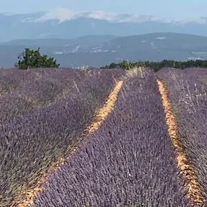 Provence Luberon Location Chez Marcelle , Bonnieux France
